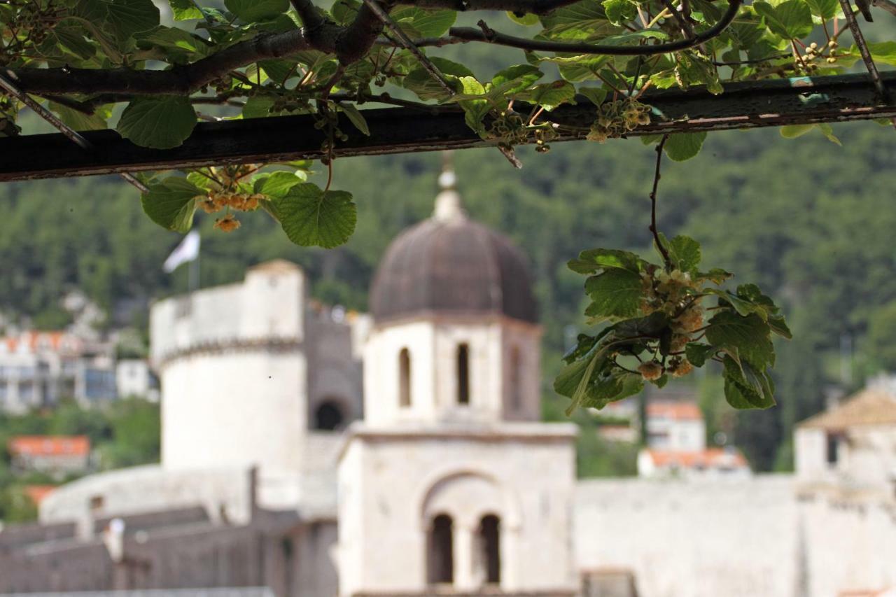 Old Town Garden Apartments Dubrovnik Luaran gambar